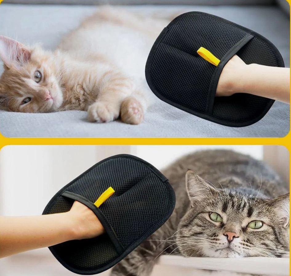 Cat Hair Brush